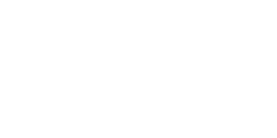 3_volkswagen.png